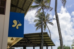 The-Club-Armonia-BeachEvent-Vertical-2