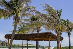 The-Club-Armonia-BeachEvent-Vertical-20