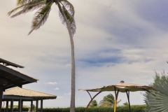 The-Club-Armonia-BeachEvent-Vertical-29