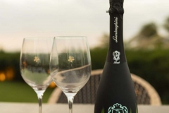 The-Club-Armonia-BeachEvent-Vertical-42