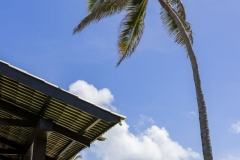 The-Club-Armonia-BeachEvent-Vertical-5